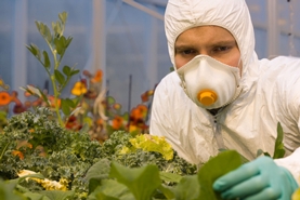 Cover photo for Why People Oppose GMOs Even Though Science Says They Are Safe