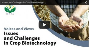 Cover photo for Video: Voices and Views: Issues and Challenges in Crop Biotechnology