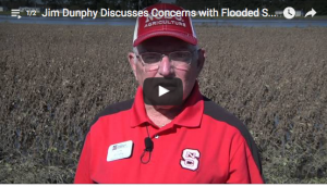 Jim Dunphy in Soybean Field