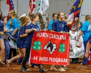 Cover photo for NC 4-H Horse Program Events Update