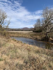 Cover photo for Fantastic 102 Acre Farm and Farm House for Lease Near Murphy, NC