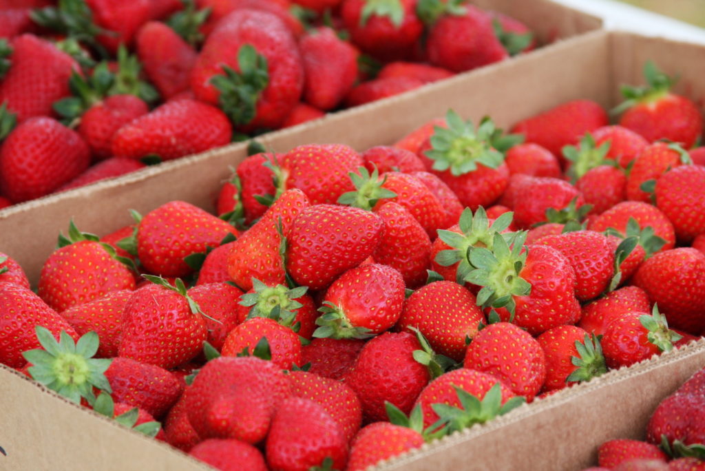 Strawberry Picking Time N C Cooperative Extension   Strawberries Farmers Market Crops 1024x684 