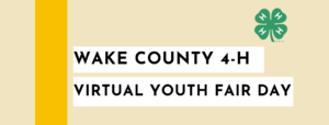 Virtual Youth Fair Day banner