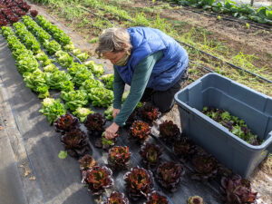 Cover photo for Farm Visit Snapshots: Granite Springs Farm