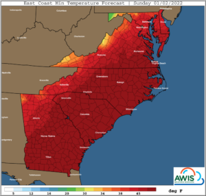 Cover photo for Extreme Warm Temperatures and What to Do?