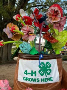 Cover photo for Wake County 4-H Clubs Win First Place!