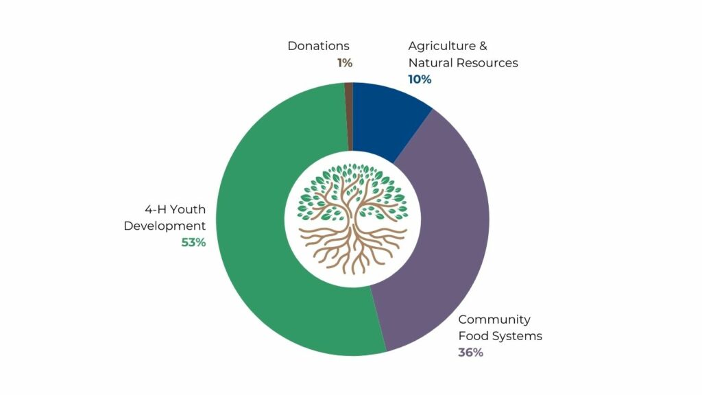 Financial overview chart showing 4-H Youth Development at 53%