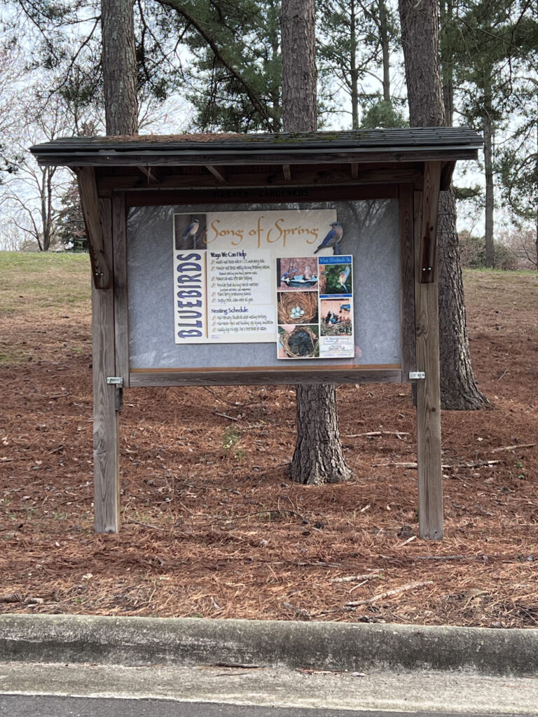 An outdoors bulletin board with information about bluebirds.