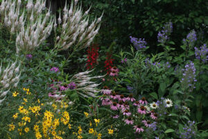 summer view of pollinator garden