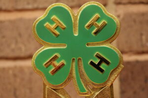 Cover photo for Celebrating Excellence: Wake County 4-H Annual Awards Ceremony Recap